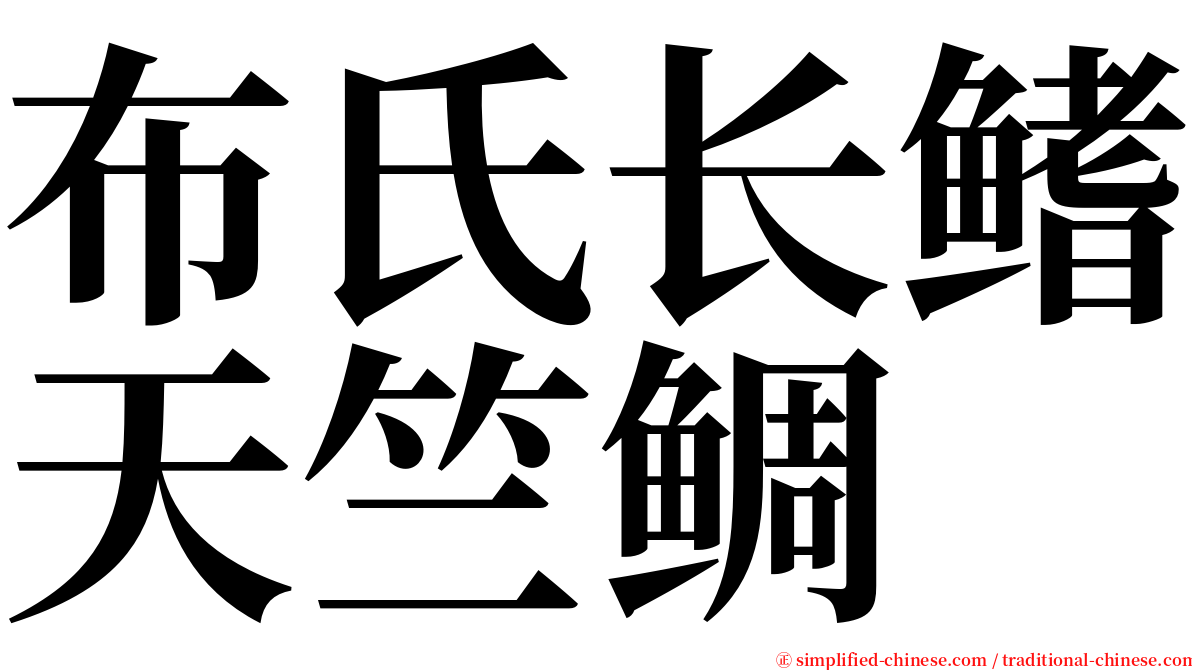 布氏长鳍天竺鲷 serif font