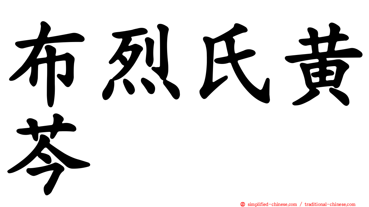 布烈氏黄芩