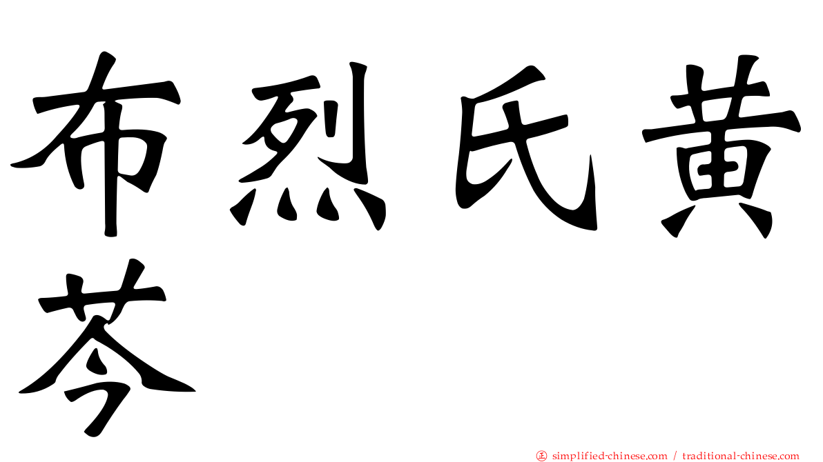 布烈氏黄芩
