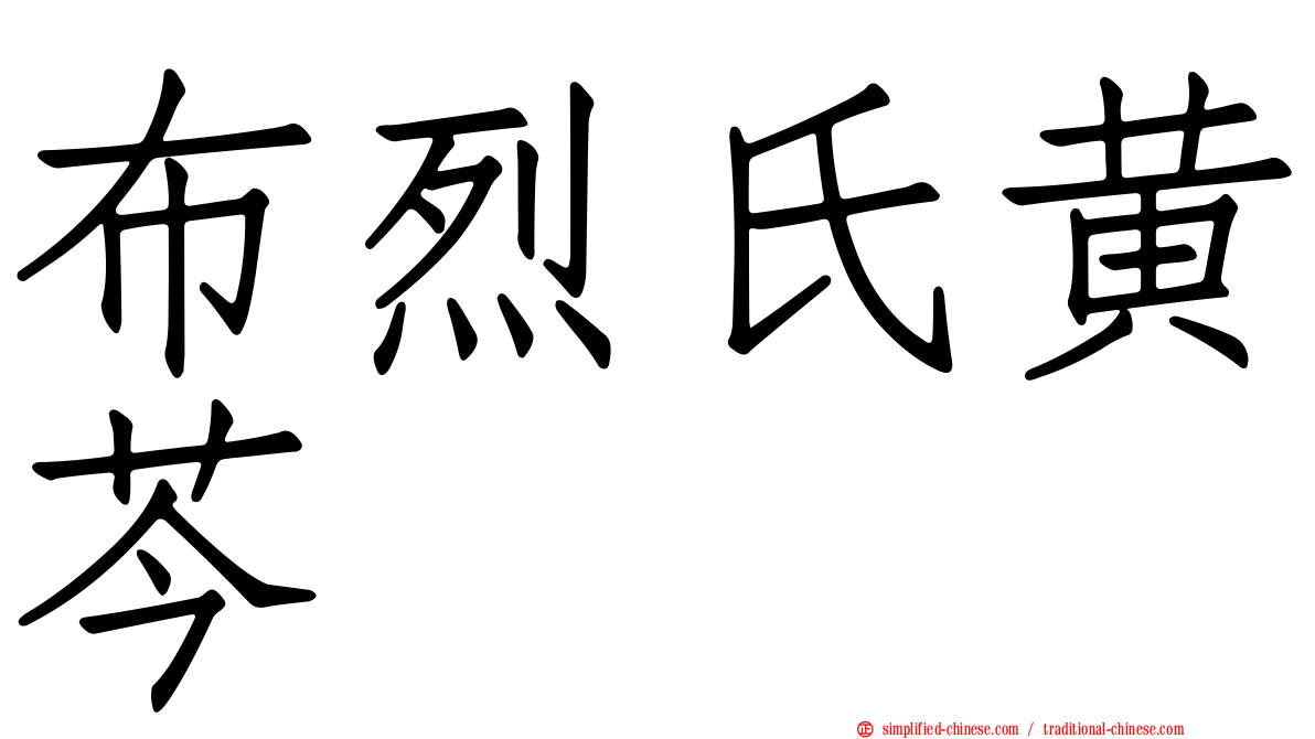 布烈氏黄芩