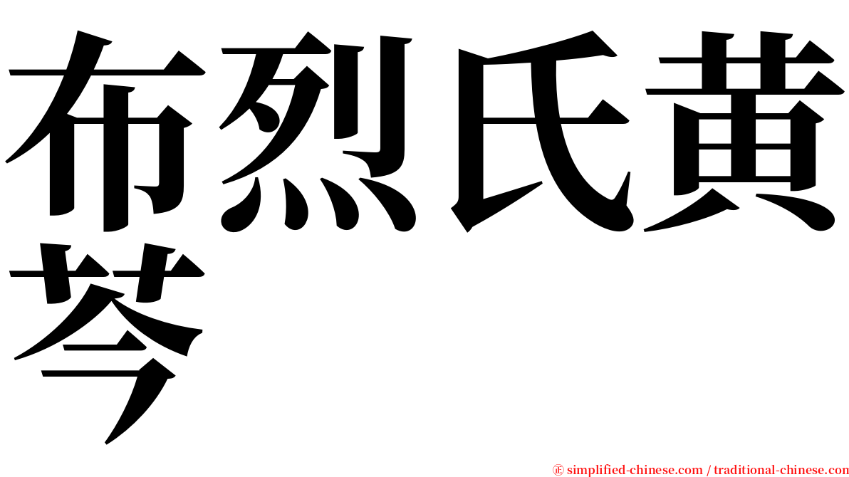 布烈氏黄芩 serif font