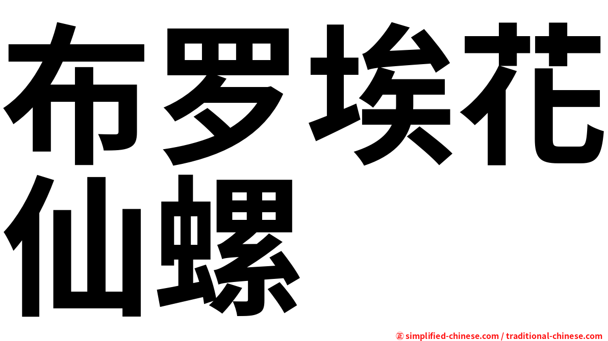 布罗埃花仙螺