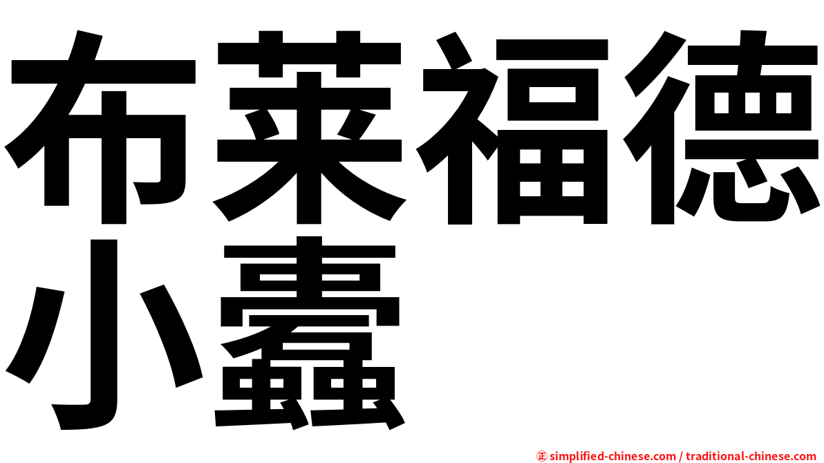 布莱福德小蠹