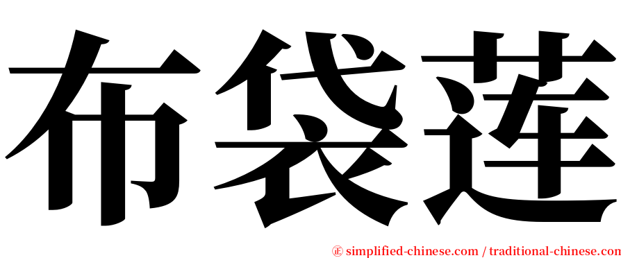 布袋莲 serif font