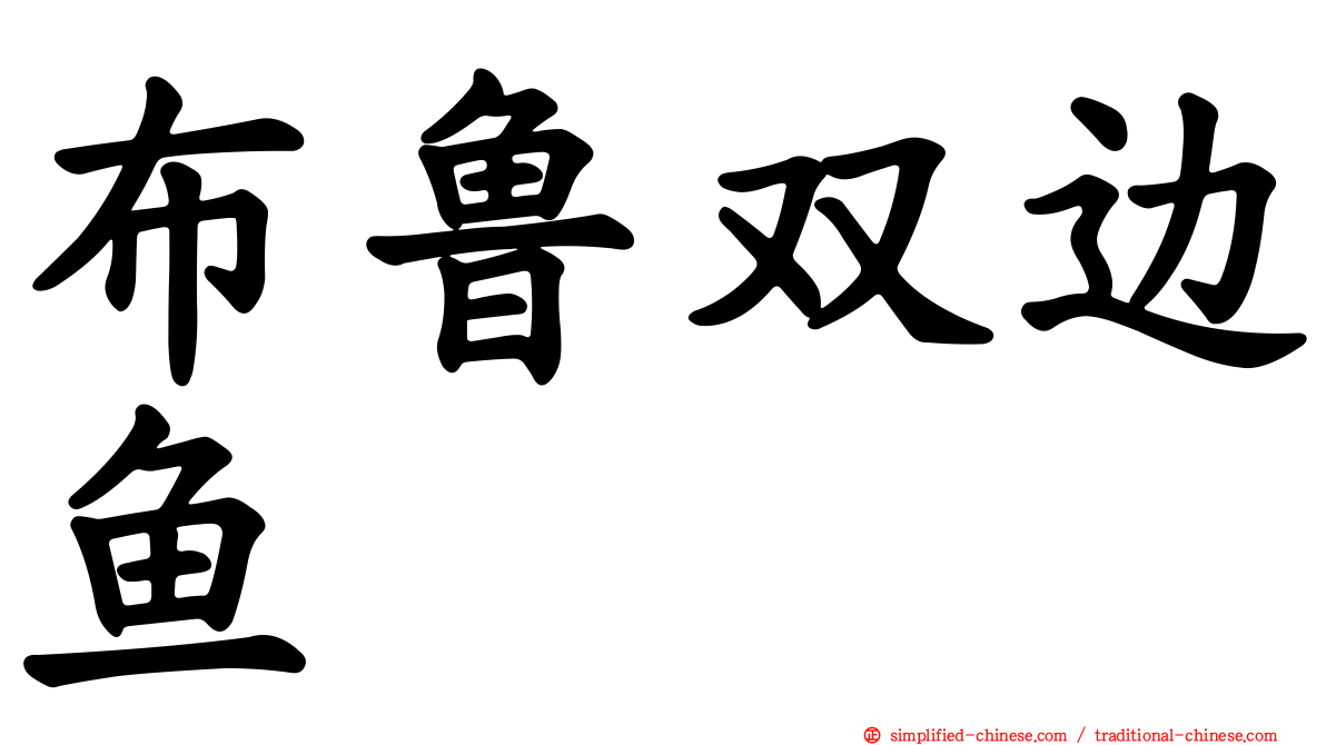 布鲁双边鱼