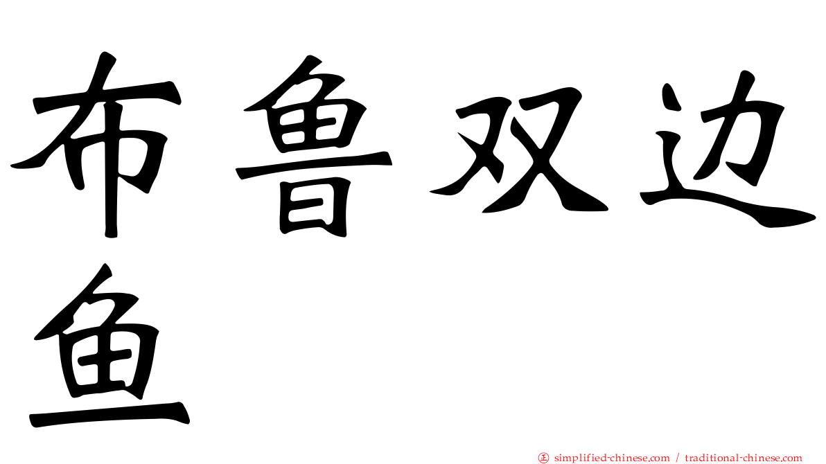 布鲁双边鱼