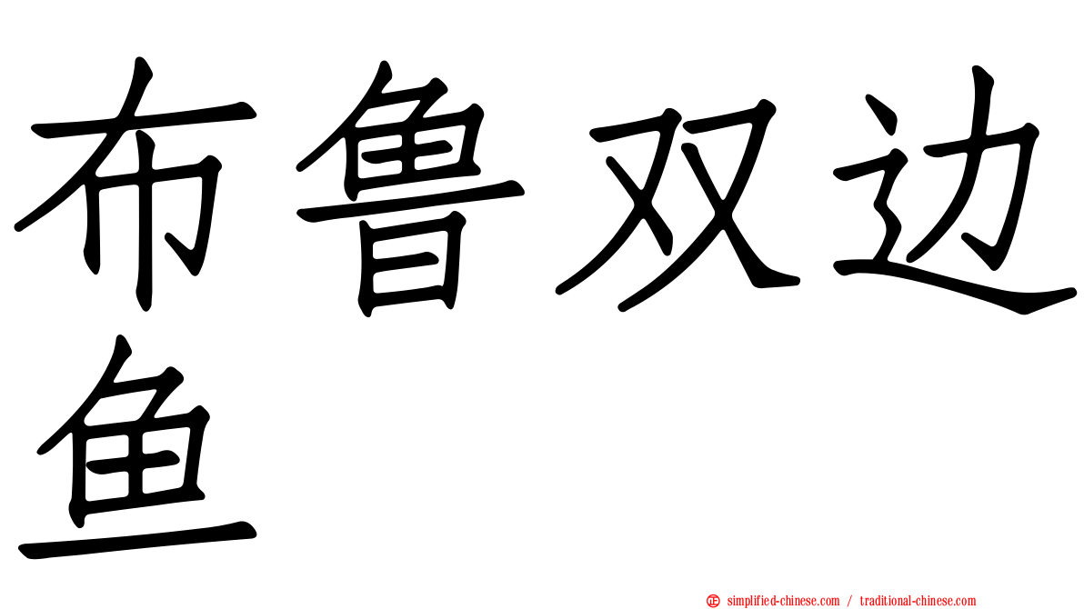 布鲁双边鱼