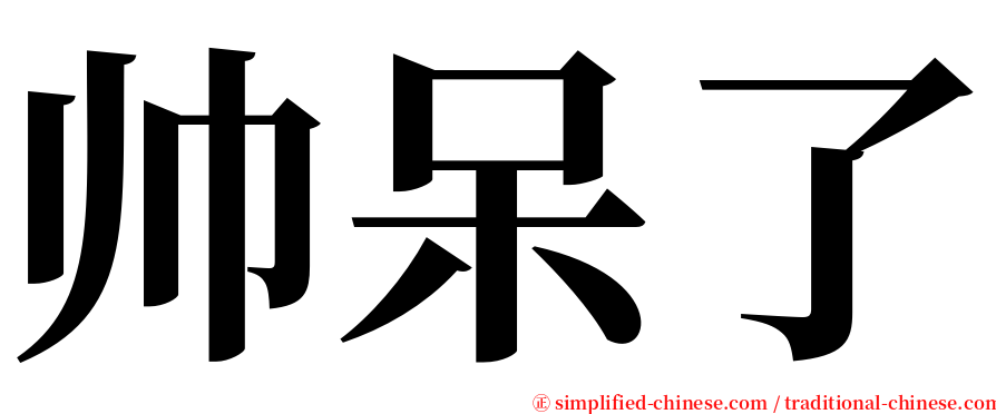 帅呆了 serif font