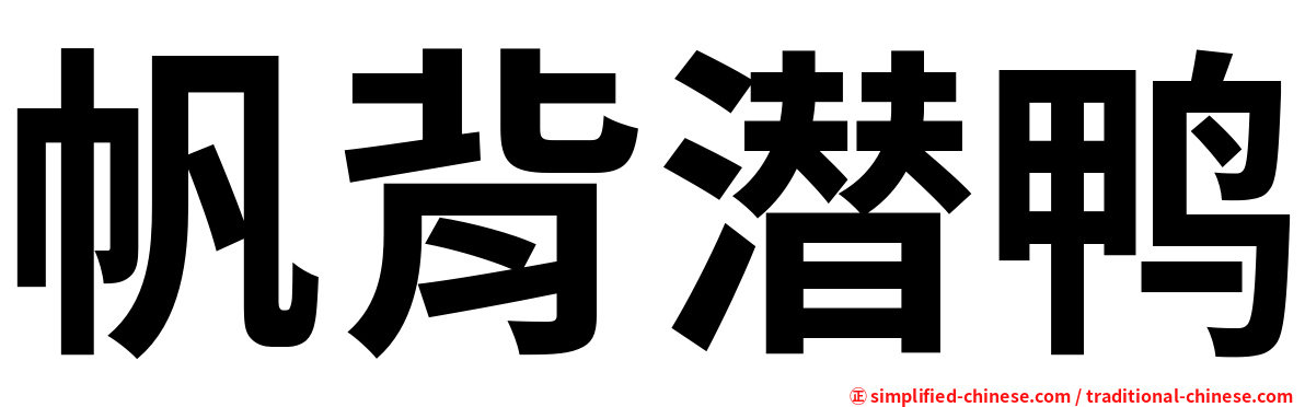 帆背潜鸭
