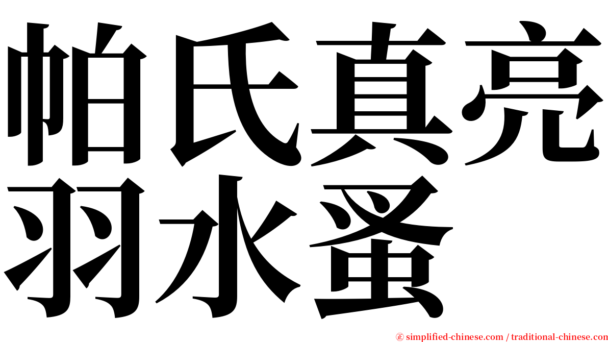 帕氏真亮羽水蚤 serif font