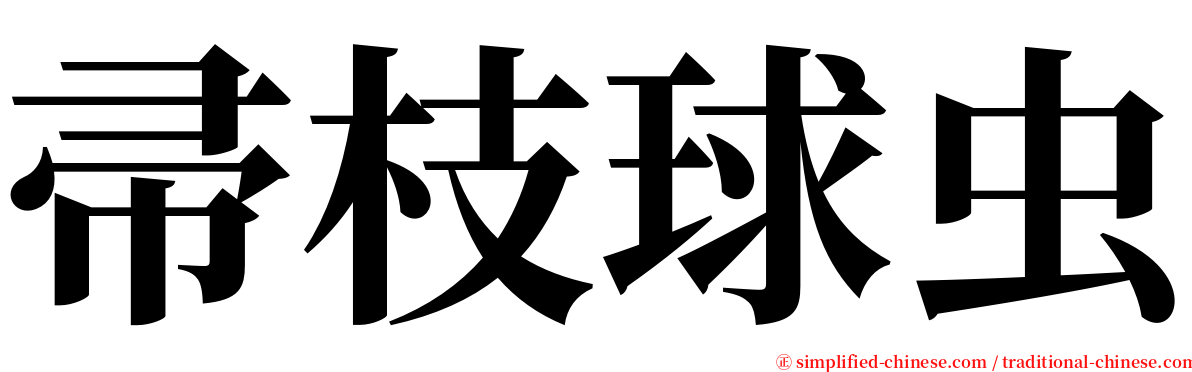 帚枝球虫 serif font