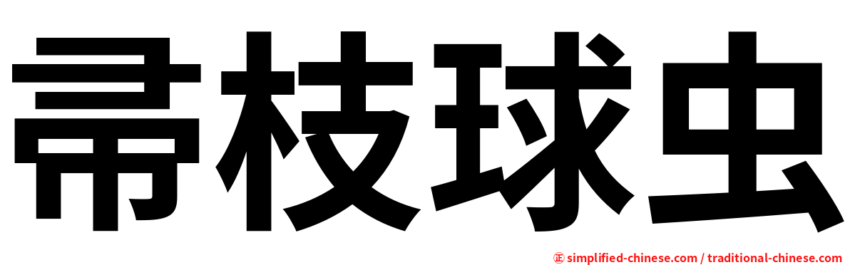 帚枝球虫