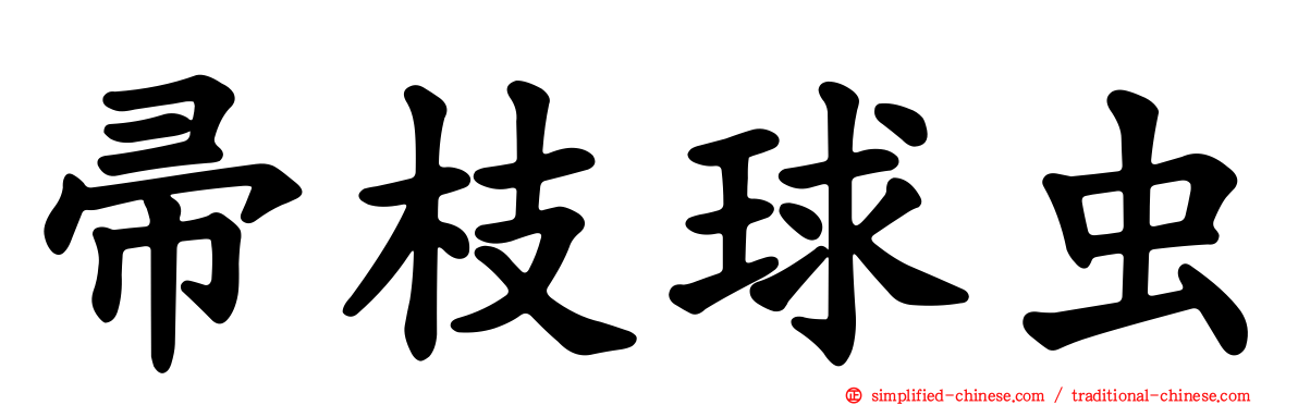 帚枝球虫