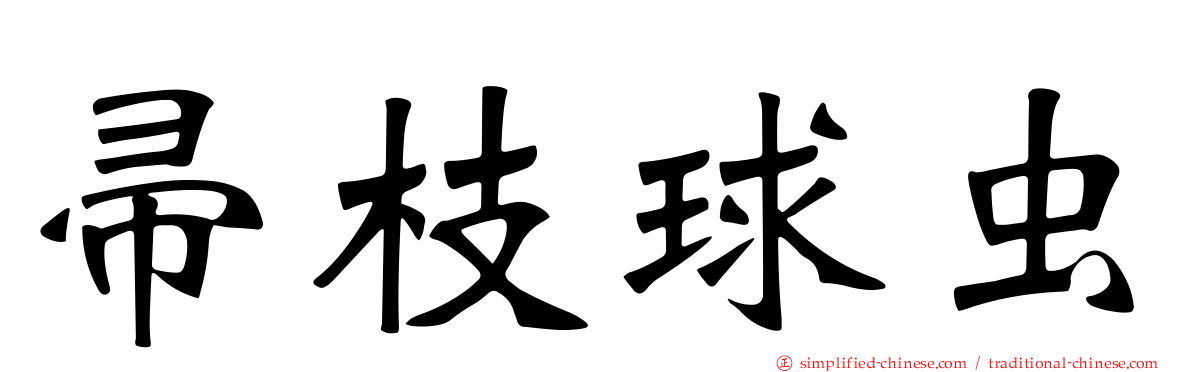 帚枝球虫