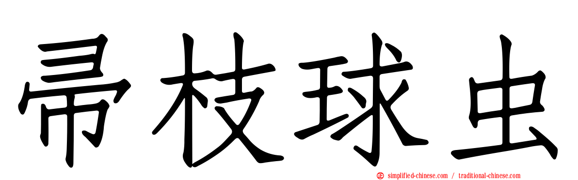 帚枝球虫