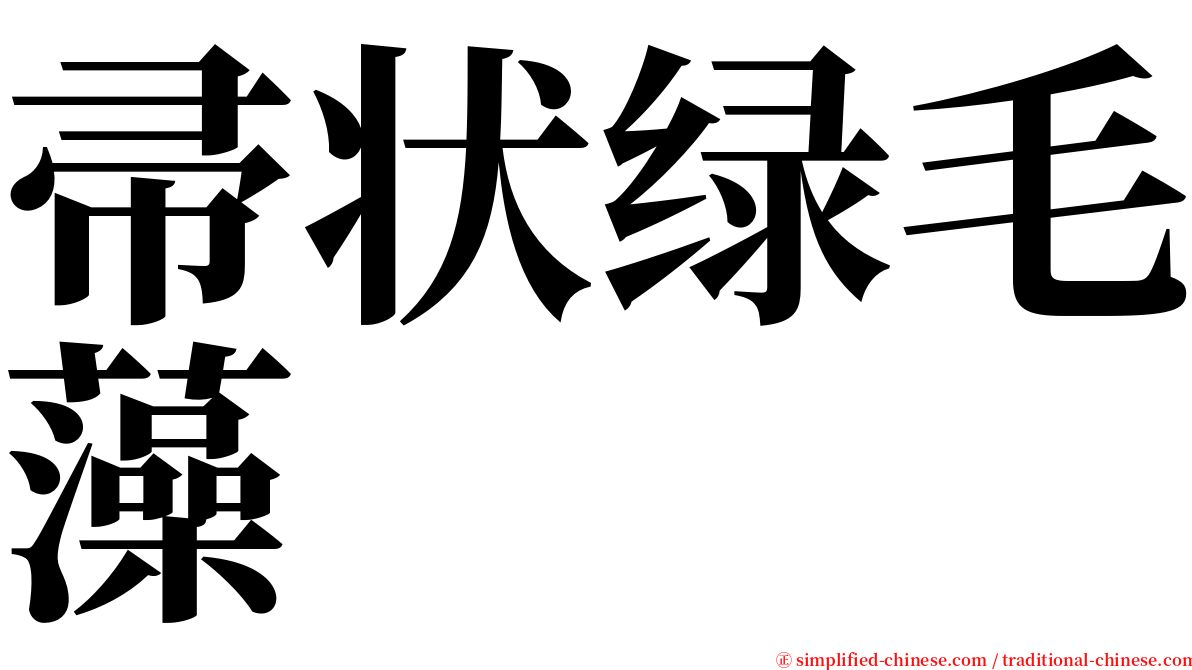 帚状绿毛藻 serif font