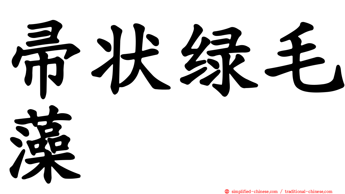 帚状绿毛藻
