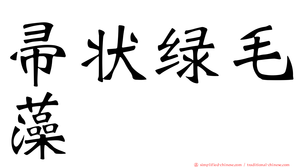 帚状绿毛藻