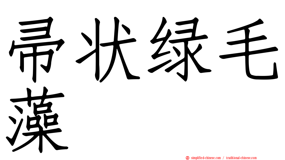 帚状绿毛藻