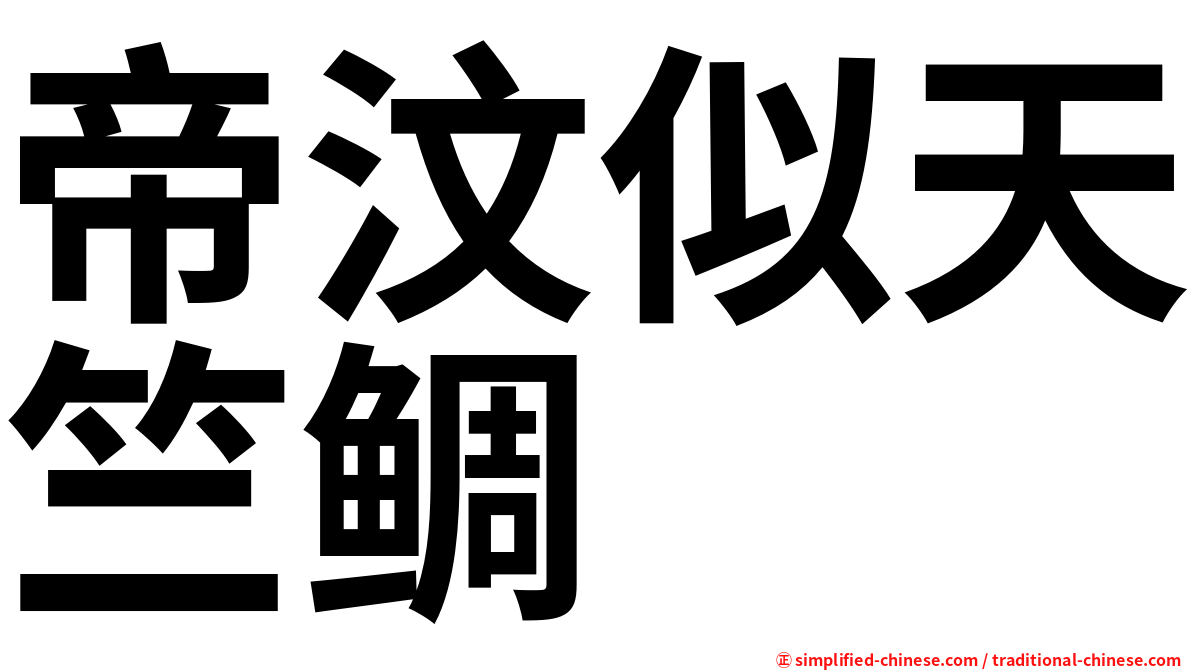 帝汶似天竺鲷