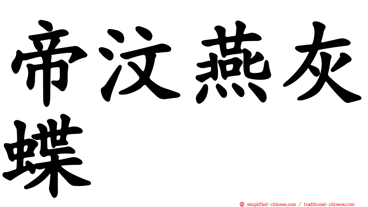 帝汶燕灰蝶