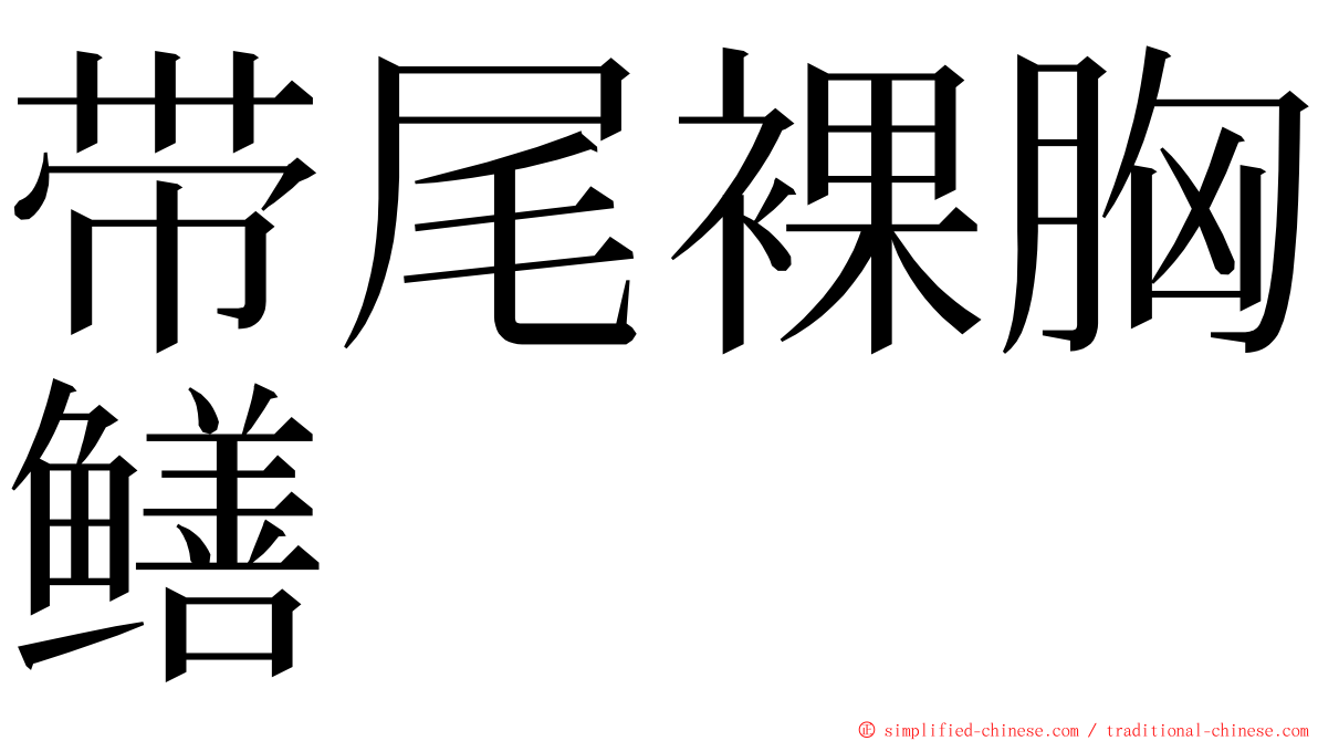 带尾裸胸鳝 ming font