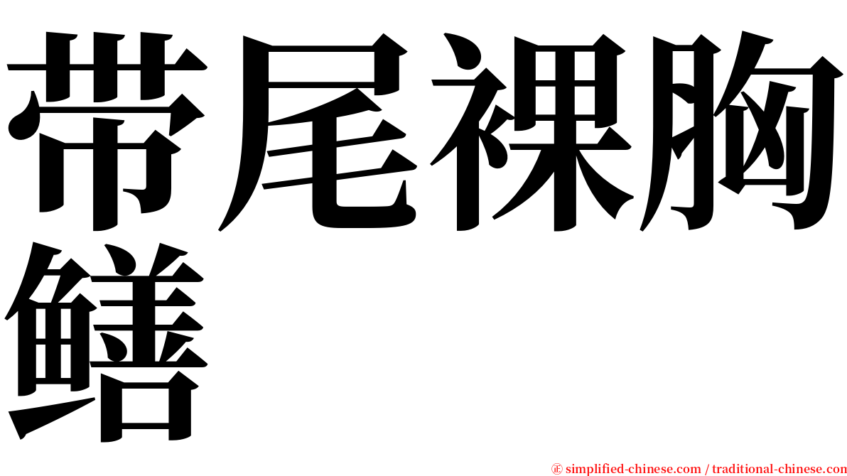 带尾裸胸鳝 serif font