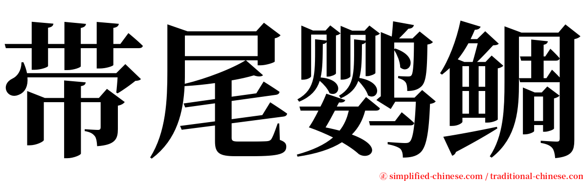 带尾鹦鲷 serif font