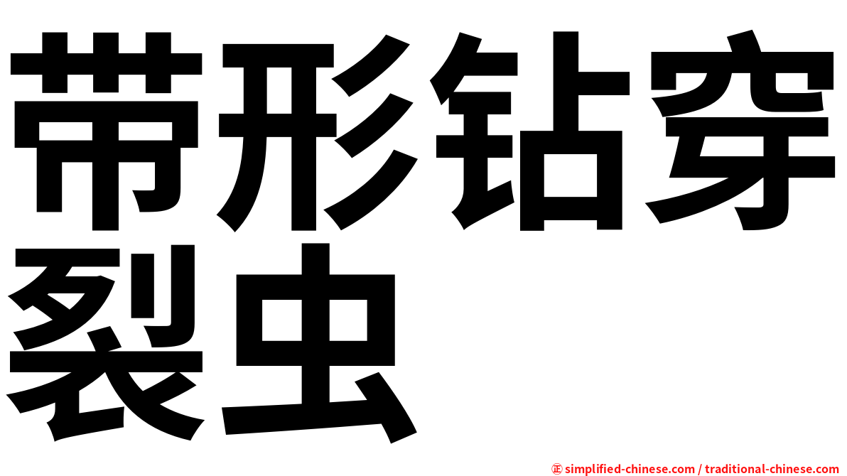带形钻穿裂虫