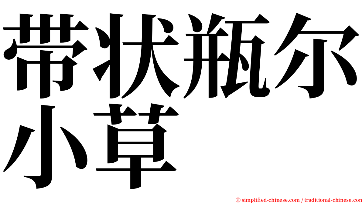 带状瓶尔小草 serif font