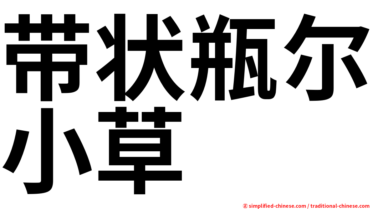 带状瓶尔小草
