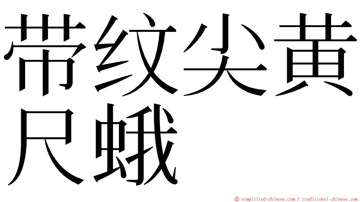 带纹尖黄尺蛾 ming font