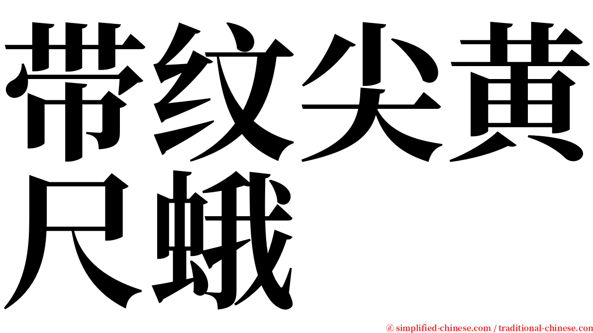带纹尖黄尺蛾 serif font