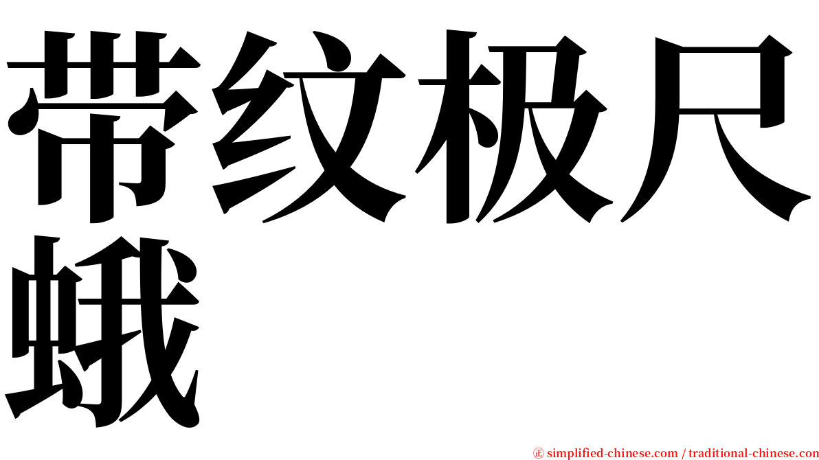 带纹极尺蛾 serif font