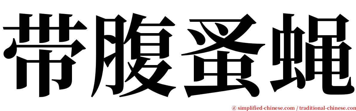 带腹蚤蝇 serif font