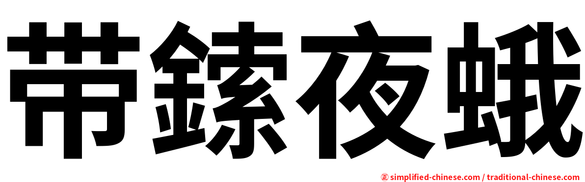 带鎍夜蛾