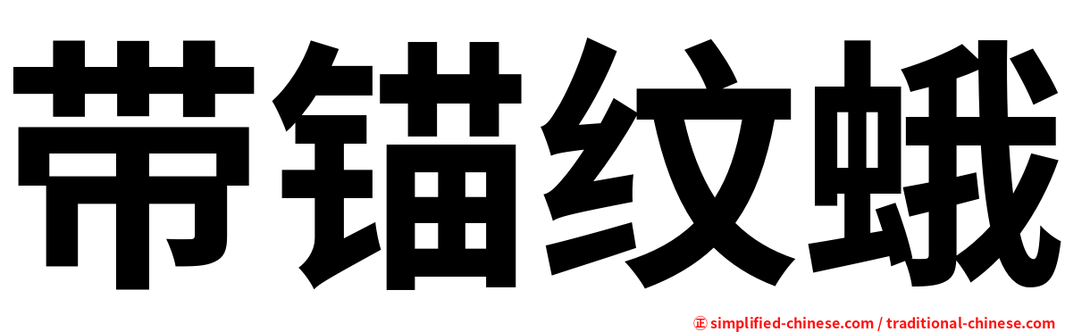 带锚纹蛾