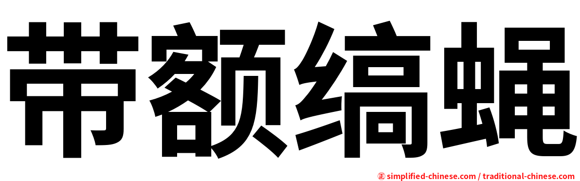 带额缟蝇