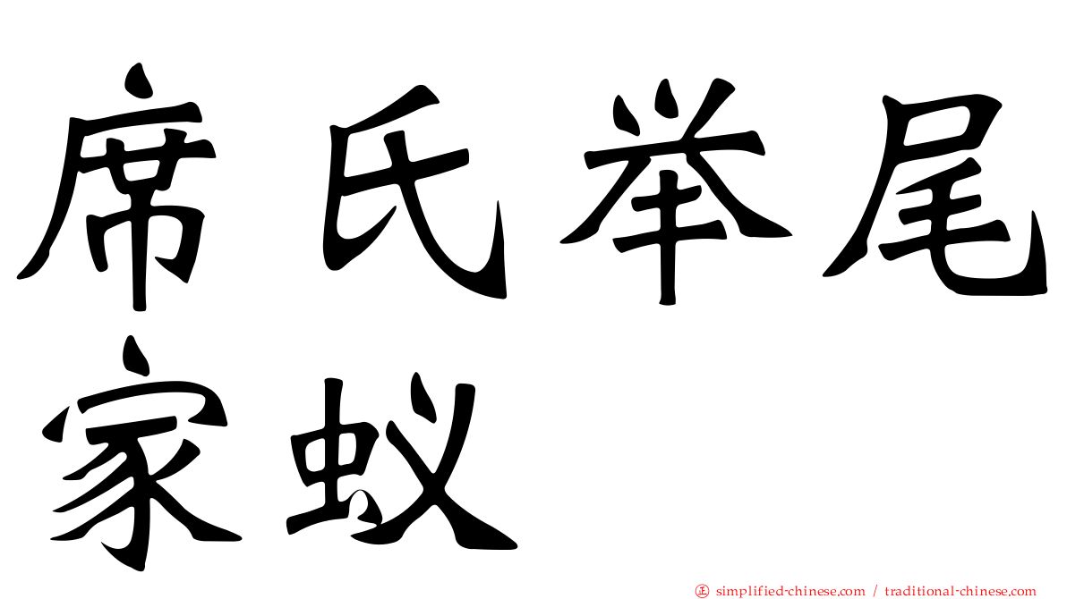 席氏举尾家蚁