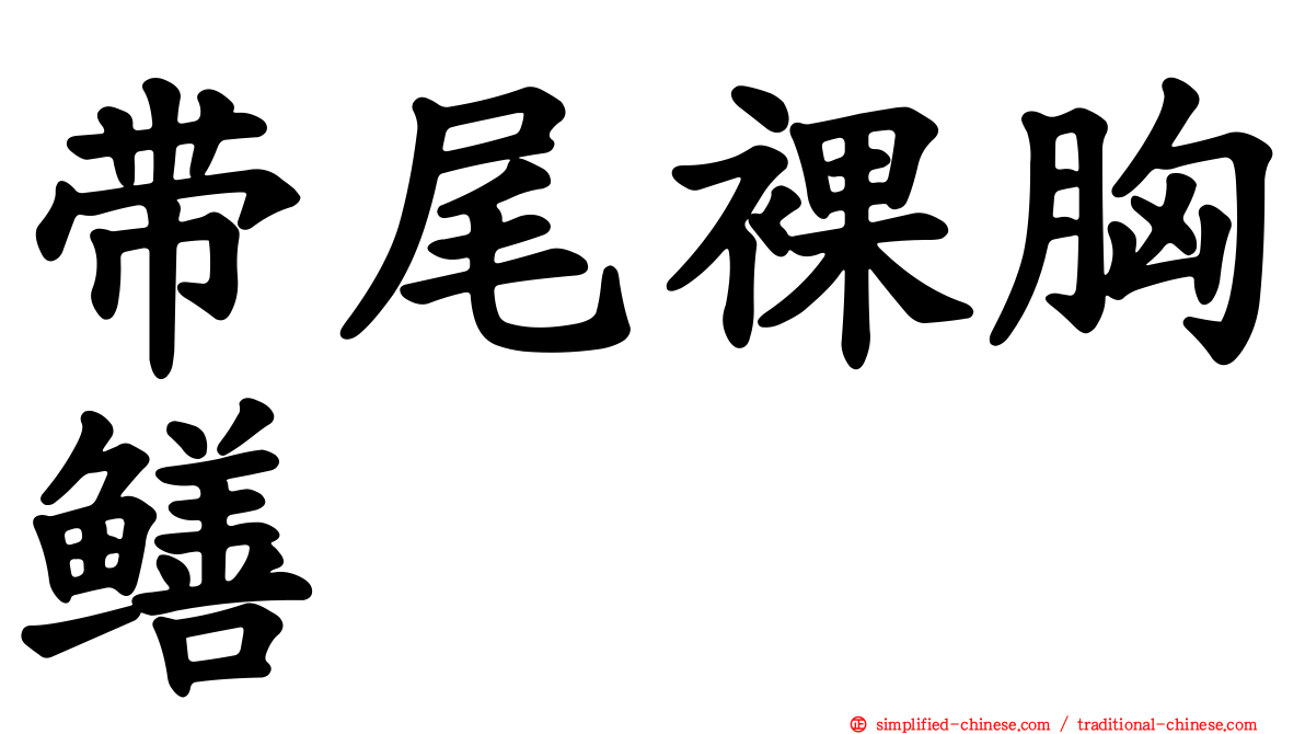 带尾裸胸鳝