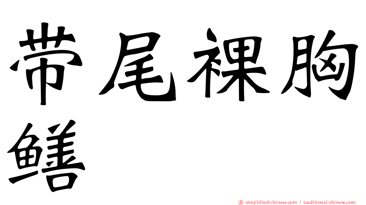 带尾裸胸鳝