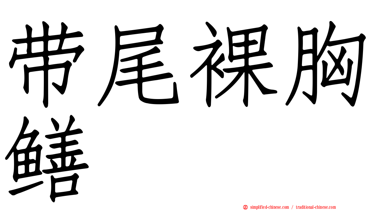 带尾裸胸鳝