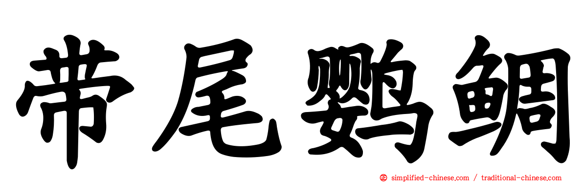 带尾鹦鲷