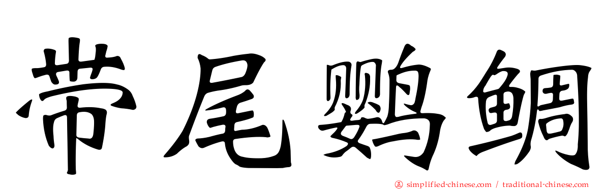 带尾鹦鲷