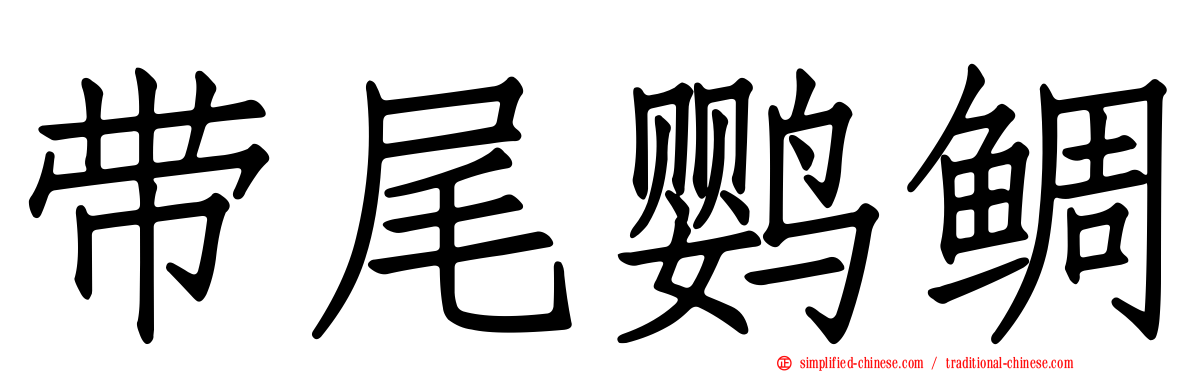 带尾鹦鲷