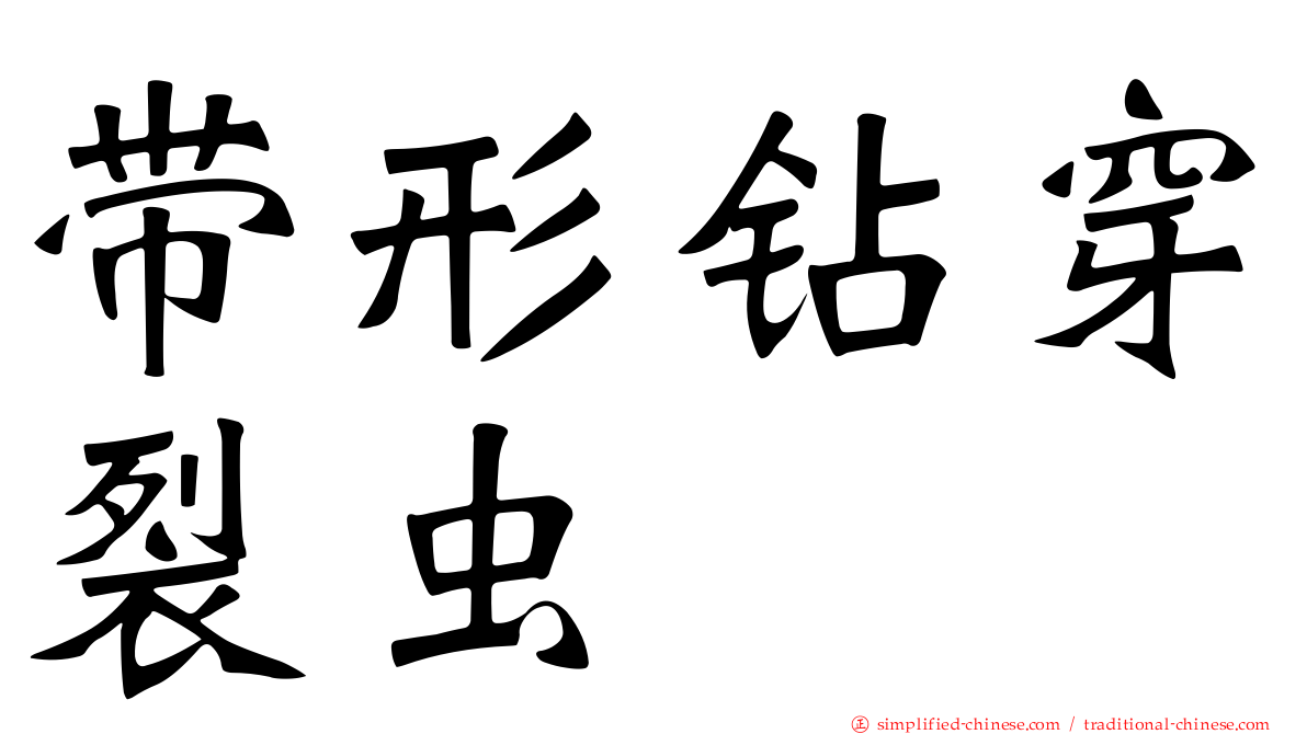 带形钻穿裂虫