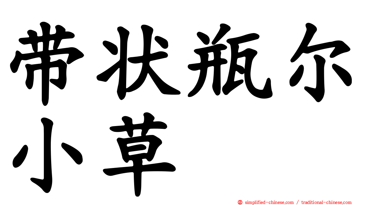 带状瓶尔小草