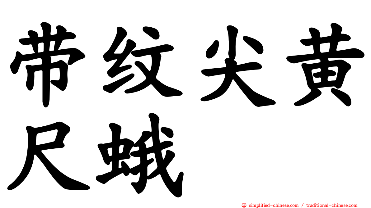带纹尖黄尺蛾