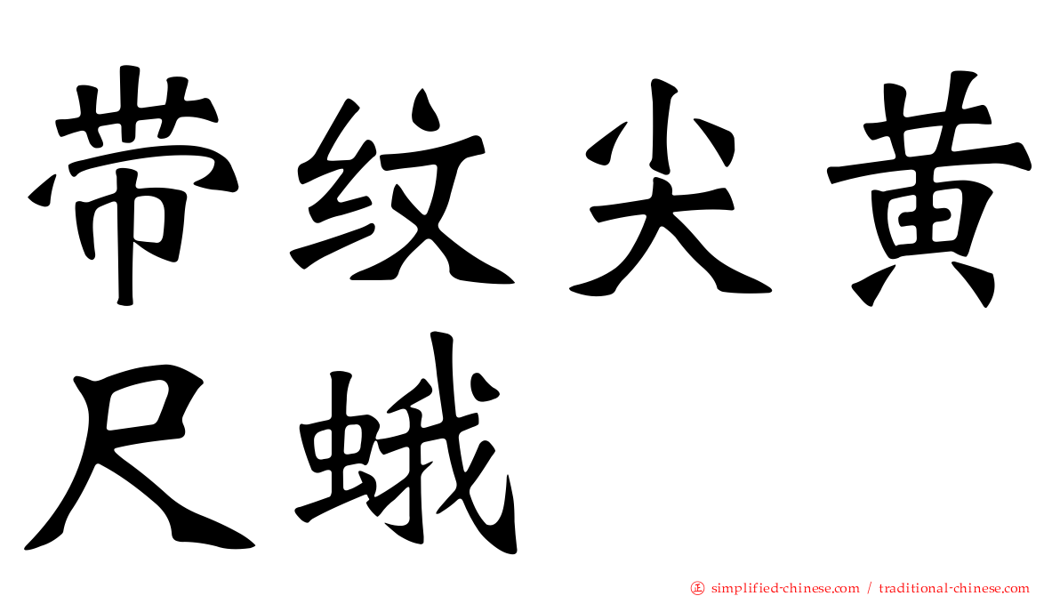 带纹尖黄尺蛾