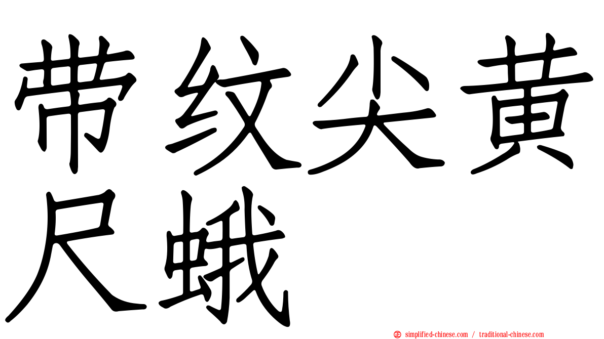 带纹尖黄尺蛾